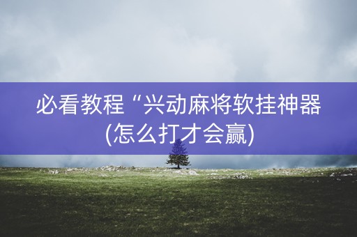 必看教程“兴动麻将软挂神器(怎么打才会赢)