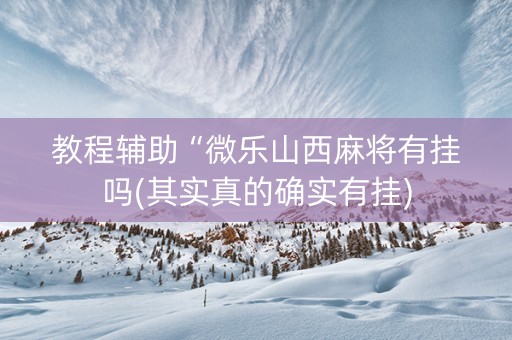 教程辅助“微乐山西麻将有挂吗(其实真的确实有挂)