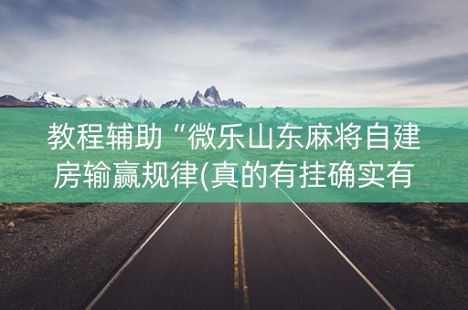 教程辅助“微乐山东麻将自建房输赢规律(真的有挂确实有挂)