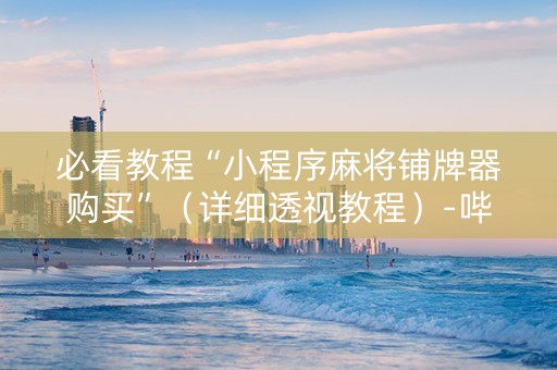 必看教程“小程序麻将铺牌器购买”（详细透视教程）-哔哩哔哩
