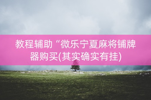 教程辅助“微乐宁夏麻将铺牌器购买(其实确实有挂)