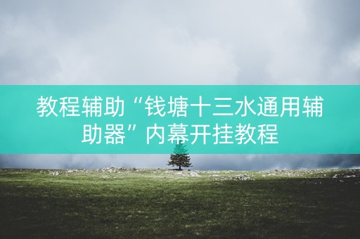 教程辅助“钱塘十三水通用辅助器”内幕开挂教程