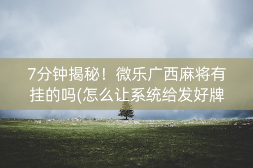 7分钟揭秘！微乐广西麻将有挂的吗(怎么让系统给发好牌)