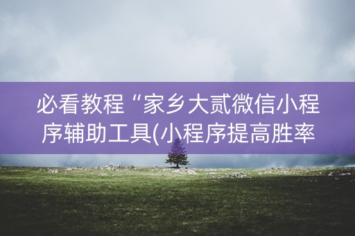 必看教程“家乡大贰微信小程序辅助工具(小程序提高胜率)