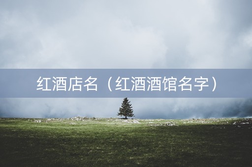 红酒店名（红酒酒馆名字）