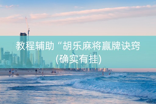 教程辅助“胡乐麻将赢牌诀窍(确实有挂)