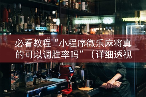 必看教程“小程序微乐麻将真的可以调胜率吗”（详细透视教程）-哔哩哔哩