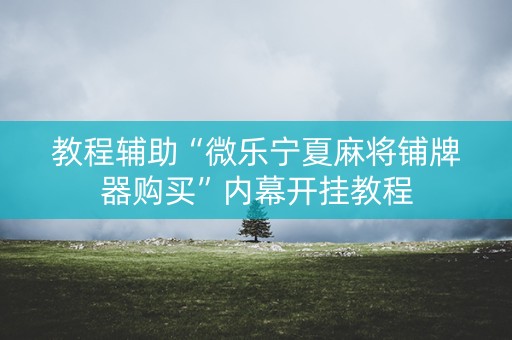 教程辅助“微乐宁夏麻将铺牌器购买”内幕开挂教程