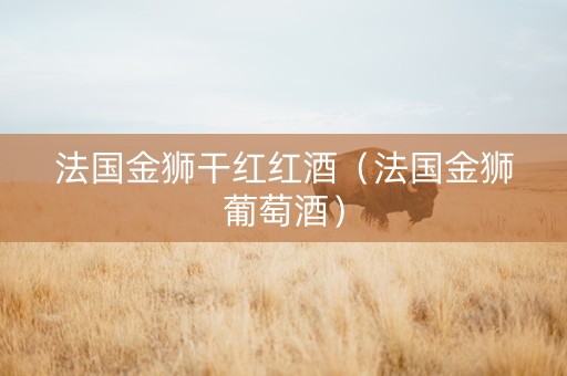 法国金狮干红红酒（法国金狮葡萄酒）