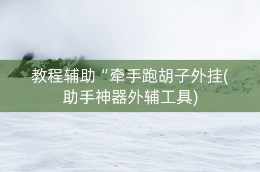 教程辅助“牵手跑胡子外挂(助手神器外辅工具)