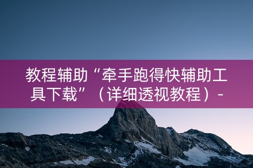 教程辅助“牵手跑得快辅助工具下载”（详细透视教程）-哔哩哔哩