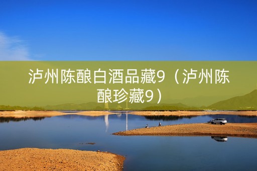 泸州陈酿白酒品藏9（泸州陈酿珍藏9）