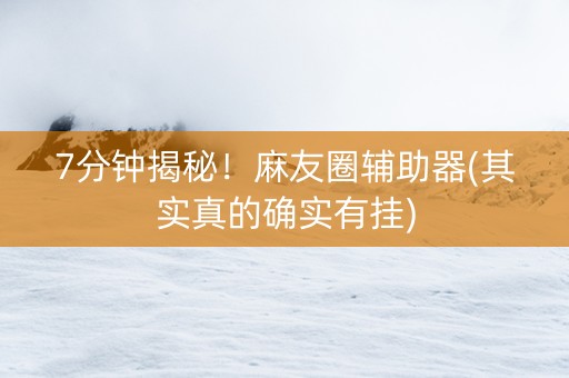 7分钟揭秘！麻友圈辅助器(其实真的确实有挂)