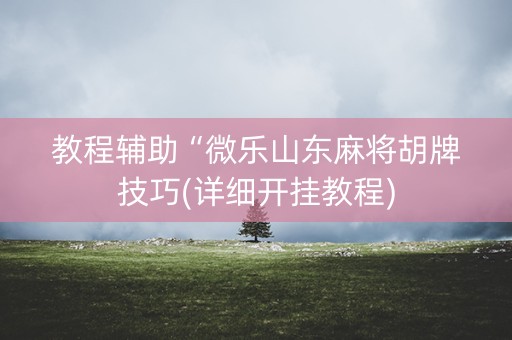 教程辅助“微乐山东麻将胡牌技巧(详细开挂教程)
