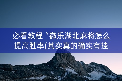 必看教程“微乐湖北麻将怎么提高胜率(其实真的确实有挂)
