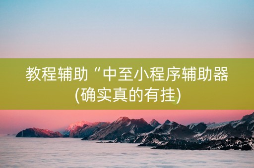 教程辅助“中至小程序辅助器(确实真的有挂)