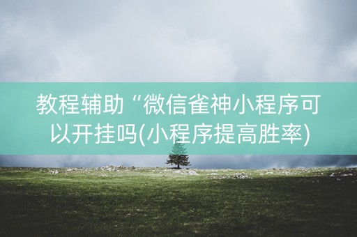 教程辅助“微信雀神小程序可以开挂吗(小程序提高胜率)