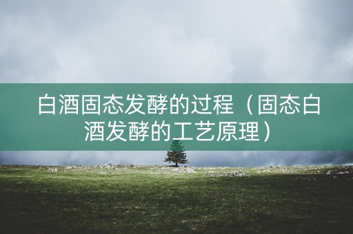 白酒固态发酵的过程（固态白酒发酵的工艺原理）