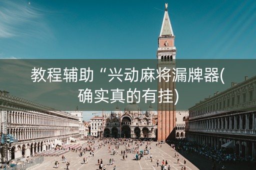 教程辅助“兴动麻将漏牌器(确实真的有挂)