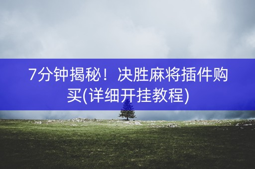 7分钟揭秘！决胜麻将插件购买(详细开挂教程)