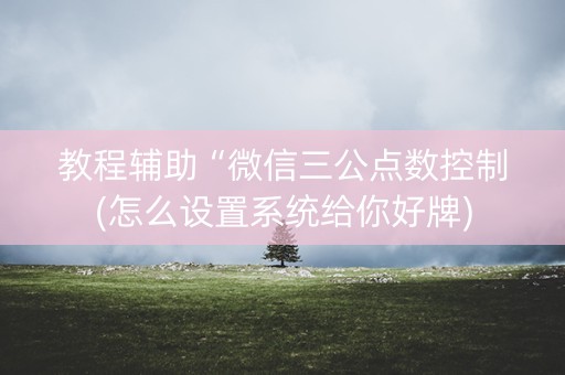教程辅助“微信三公点数控制(怎么设置系统给你好牌)