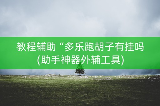 教程辅助“多乐跑胡子有挂吗(助手神器外辅工具)