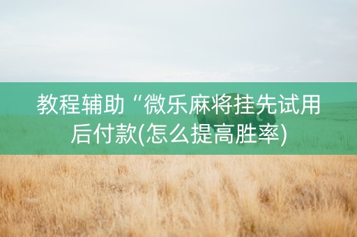 教程辅助“微乐麻将挂先试用后付款(怎么提高胜率)