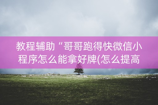 教程辅助“哥哥跑得快微信小程序怎么能拿好牌(怎么提高胜率)