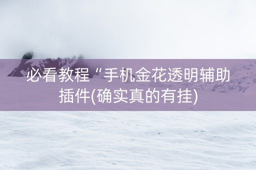必看教程“手机金花透明辅助插件(确实真的有挂)