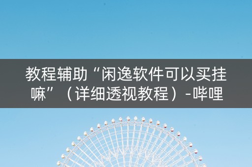 教程辅助“闲逸软件可以买挂嘛”（详细透视教程）-哔哩哔哩
