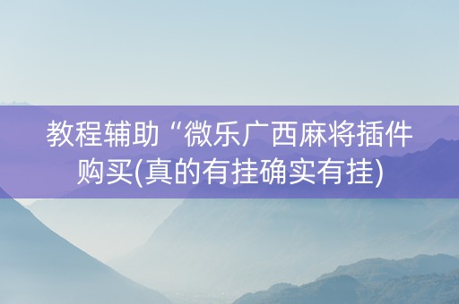 教程辅助“微乐广西麻将插件购买(真的有挂确实有挂)