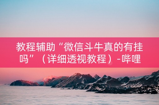 教程辅助“微信斗牛真的有挂吗”（详细透视教程）-哔哩哔哩