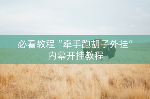 必看教程“牵手跑胡子外挂”内幕开挂教程