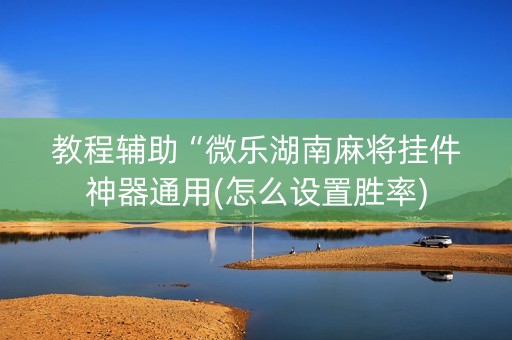 教程辅助“微乐湖南麻将挂件神器通用(怎么设置胜率)
