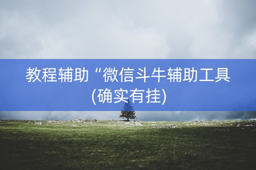 教程辅助“微信斗牛辅助工具(确实有挂)