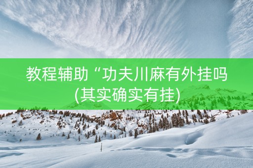 教程辅助“功夫川麻有外挂吗(其实确实有挂)