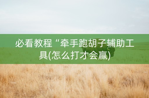 必看教程“牵手跑胡子辅助工具(怎么打才会赢)