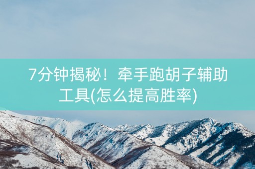 7分钟揭秘！牵手跑胡子辅助工具(怎么提高胜率)
