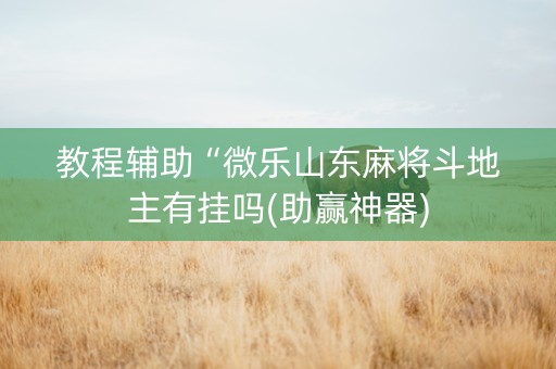 教程辅助“微乐山东麻将斗地主有挂吗(助赢神器)