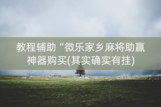 教程辅助“微乐家乡麻将助赢神器购买(其实确实有挂)