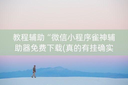 教程辅助“微信小程序雀神辅助器免费下载(真的有挂确实有挂)