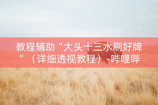 教程辅助“大头十三水刷好牌”（详细透视教程）-哔哩哔哩