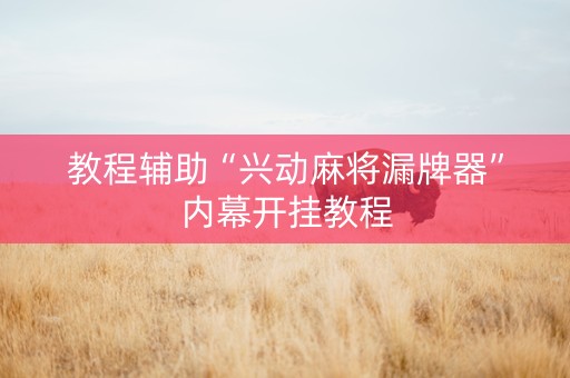 教程辅助“兴动麻将漏牌器”内幕开挂教程