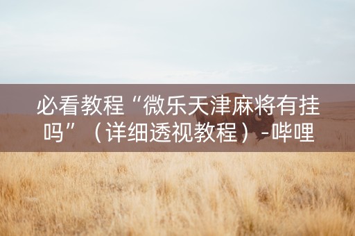 必看教程“微乐天津麻将有挂吗”（详细透视教程）-哔哩哔哩