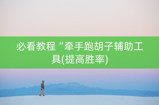 必看教程“牵手跑胡子辅助工具(提高胜率)