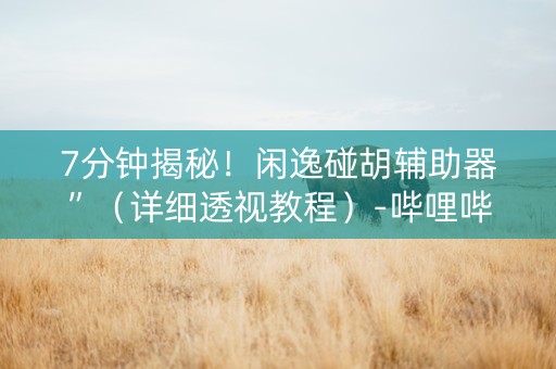7分钟揭秘！闲逸碰胡辅助器”（详细透视教程）-哔哩哔哩