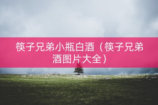 筷子兄弟小瓶白酒（筷子兄弟酒图片大全）