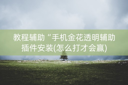 教程辅助“手机金花透明辅助插件安装(怎么打才会赢)