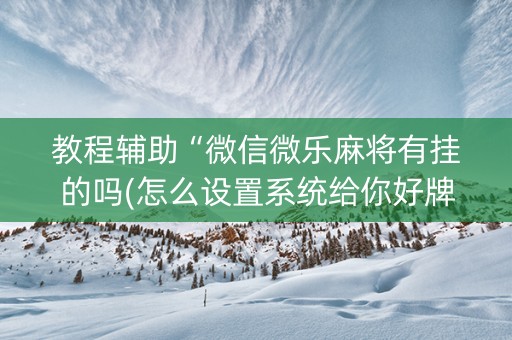 教程辅助“微信微乐麻将有挂的吗(怎么设置系统给你好牌)