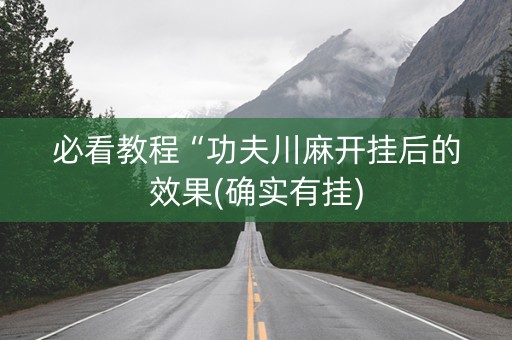 必看教程“功夫川麻开挂后的效果(确实有挂)